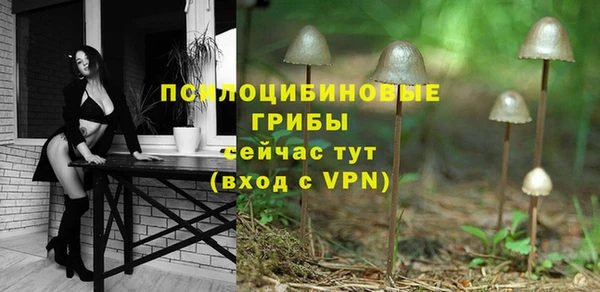 spice Балабаново