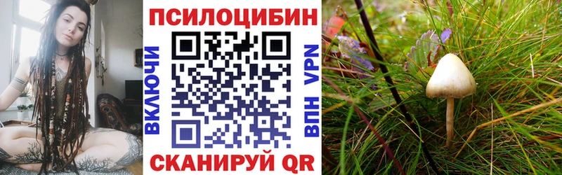 mega ТОР  Никольск  Псилоцибиновые грибы Cubensis 